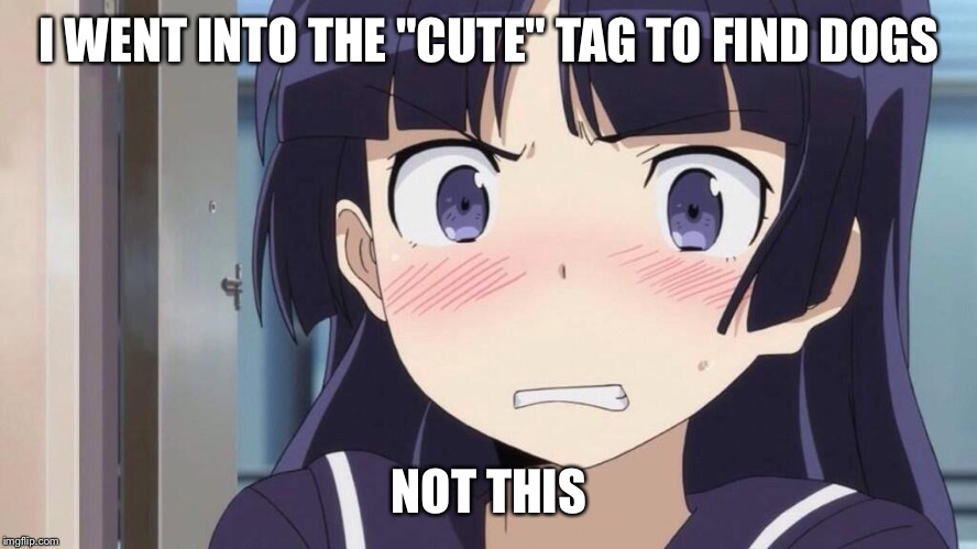 Disgusted anime girl | I WENT INTO THE "CUTE" TAG TO FIND DOGS NOT THIS | image tagged in disgusted anime girl | made w/ Imgflip meme maker
