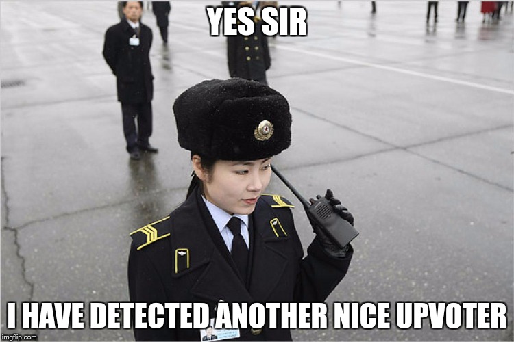 north korea | YES SIR I HAVE DETECTED ANOTHER NICE UPVOTER | image tagged in north korea | made w/ Imgflip meme maker