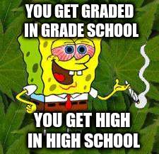 YOU GET GRADED IN GRADE SCHOOL YOU GET HIGH IN HIGH SCHOOL | made w/ Imgflip meme maker