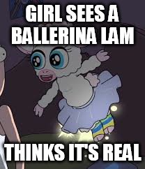 GIRL SEES A BALLERINA LAM; THINKS IT'S REAL | image tagged in rick and morty,cartoon logic week | made w/ Imgflip meme maker