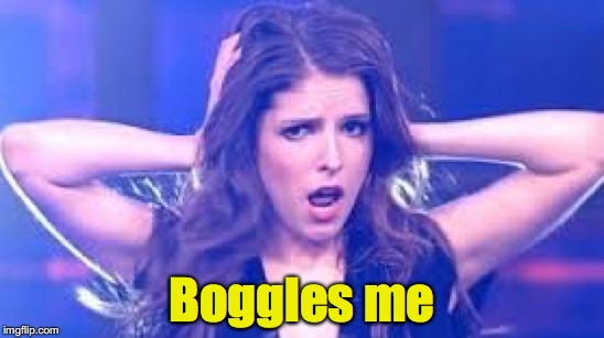 I don't believe it Anna | Boggles me | image tagged in i don't believe it anna | made w/ Imgflip meme maker