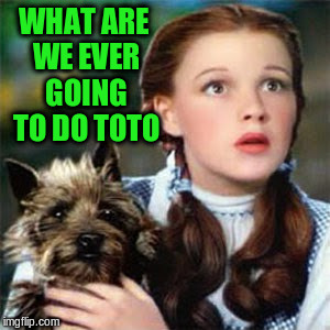 WHAT ARE WE EVER GOING TO DO TOTO | made w/ Imgflip meme maker