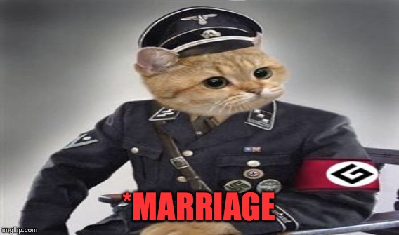 *MARRIAGE | made w/ Imgflip meme maker