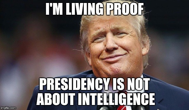 Trump Oopsie | I'M LIVING PROOF PRESIDENCY IS NOT ABOUT INTELLIGENCE | image tagged in trump oopsie | made w/ Imgflip meme maker