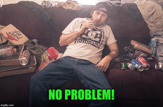 Stoner on couch | NO PROBLEM! | image tagged in stoner on couch | made w/ Imgflip meme maker