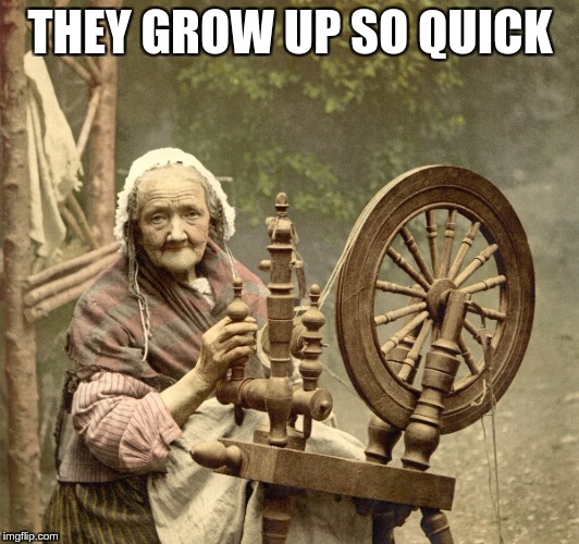 spinning | THEY GROW UP SO QUICK | image tagged in spinning | made w/ Imgflip meme maker