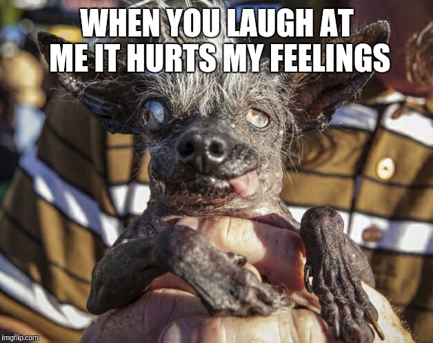 WHEN YOU LAUGH AT ME IT HURTS MY FEELINGS | made w/ Imgflip meme maker