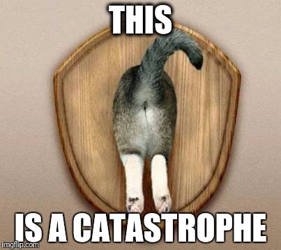 Cat ass trophy |  THIS; IS A CATASTROPHE | image tagged in cat ass trophy | made w/ Imgflip meme maker