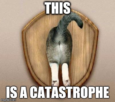Cat ass trophy | THIS IS A CATASTROPHE | image tagged in cat ass trophy | made w/ Imgflip meme maker