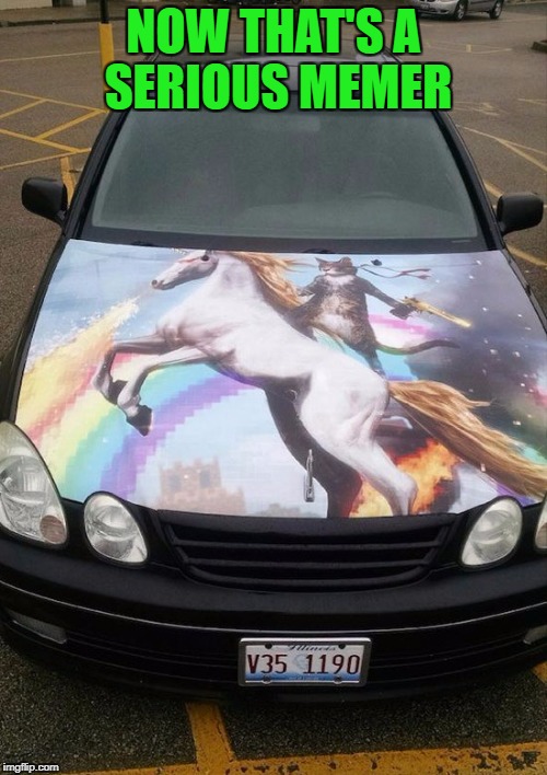 No way I would do something like that... |  NOW THAT'S A SERIOUS MEMER | image tagged in cat riding unicorn,memes,cars,paint jobs,funny,cats | made w/ Imgflip meme maker