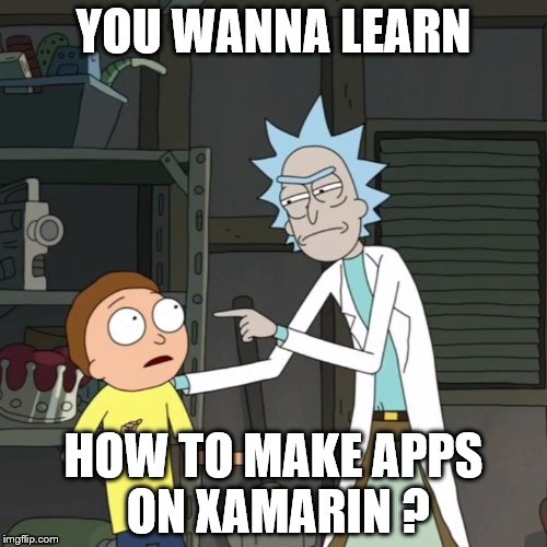 rick and morty | YOU WANNA LEARN; HOW TO MAKE APPS ON XAMARIN ? | image tagged in rick and morty | made w/ Imgflip meme maker