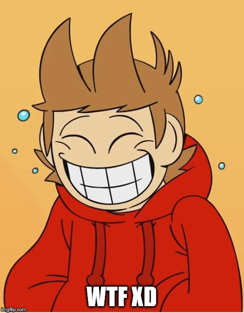 Eddsworld | WTF XD | image tagged in eddsworld | made w/ Imgflip meme maker