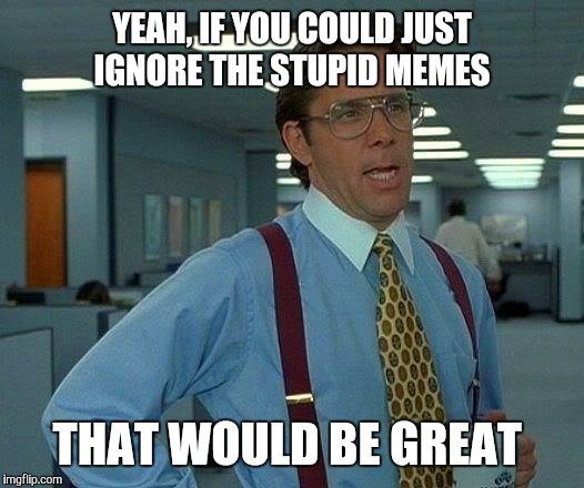 That Would Be Great Meme | YEAH, IF YOU COULD JUST IGNORE THE STUPID MEMES THAT WOULD BE GREAT | image tagged in memes,that would be great | made w/ Imgflip meme maker