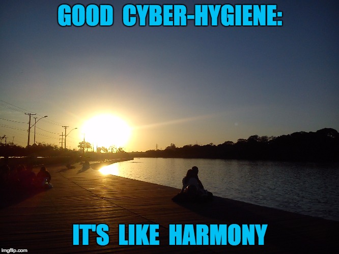 Good Cyber-Hygiene | GOOD  CYBER-HYGIENE:; IT'S  LIKE  HARMONY | image tagged in internet | made w/ Imgflip meme maker