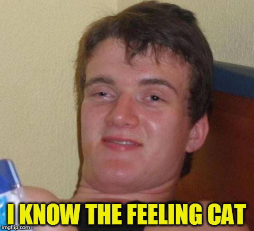 10 Guy Meme | I KNOW THE FEELING CAT | image tagged in memes,10 guy | made w/ Imgflip meme maker