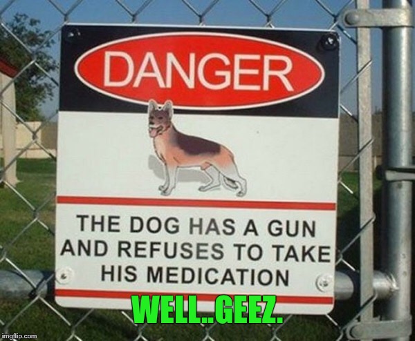 I'd better go talk to THAT pet hospital  | WELL..GEEZ. | image tagged in memes,dog,funny signs,medication,guns | made w/ Imgflip meme maker