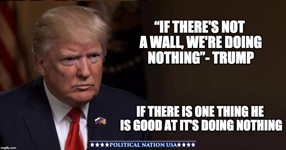 “IF THERE'S NOT A WALL, WE'RE DOING NOTHING”- TRUMP; IF THERE IS ONE THING HE IS GOOD AT IT'S DOING NOTHING | image tagged in nevertrump,never trump,nevertrump meme,dump trump,dumptrump,dump the trump | made w/ Imgflip meme maker