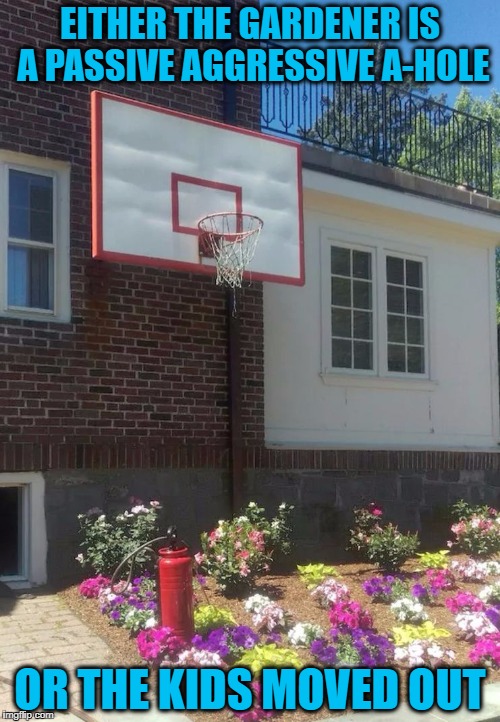 I Would Definitely Shoot Some Hoops Here; They're Asking For It. | EITHER THE GARDENER IS A PASSIVE AGGRESSIVE A-HOLE; OR THE KIDS MOVED OUT | image tagged in basketball garden | made w/ Imgflip meme maker