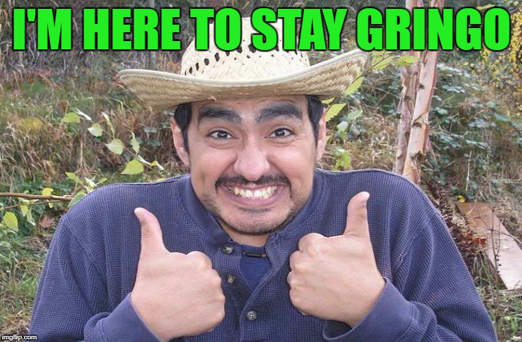 I'M HERE TO STAY GRINGO | made w/ Imgflip meme maker