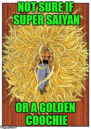 NOT SURE IF SUPER SAIYAN OR A GOLDEN COOCHIE | made w/ Imgflip meme maker