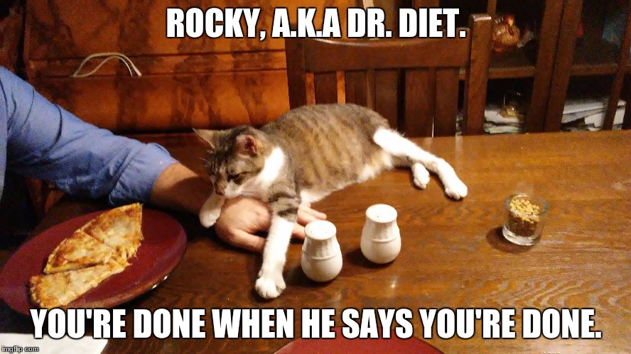 Rocky Diet | ROCKY, A.K.A DR. DIET. YOU'RE DONE WHEN HE SAYS YOU'RE DONE. | image tagged in diet,dieting,cats,pizza,pizza cat,funny | made w/ Imgflip meme maker