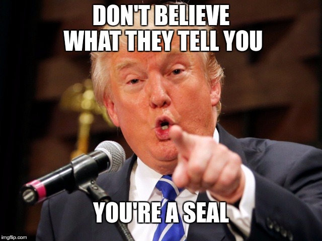 Trump You! | DON'T BELIEVE WHAT THEY TELL YOU YOU'RE A SEAL | image tagged in trump you | made w/ Imgflip meme maker