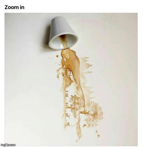 An Artist's Coffee | image tagged in coffee,meme,tree,forest | made w/ Imgflip meme maker