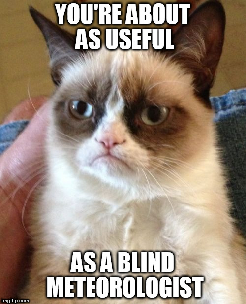 Grumpy Cat Meme | YOU'RE ABOUT AS USEFUL; AS A BLIND METEOROLOGIST | image tagged in memes,grumpy cat | made w/ Imgflip meme maker