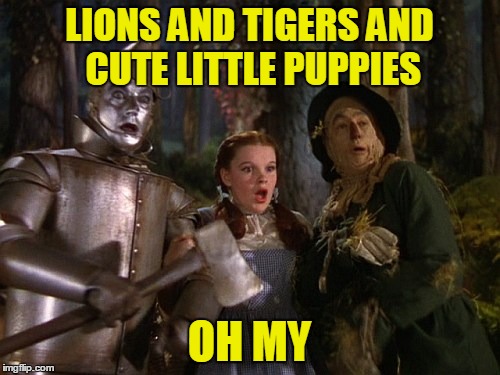 LIONS AND TIGERS AND CUTE LITTLE PUPPIES OH MY | made w/ Imgflip meme maker