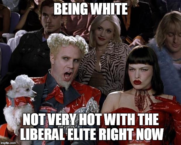 Mugatu So Hot Right Now Meme | BEING WHITE NOT VERY HOT WITH THE LIBERAL ELITE RIGHT NOW | image tagged in memes,mugatu so hot right now | made w/ Imgflip meme maker