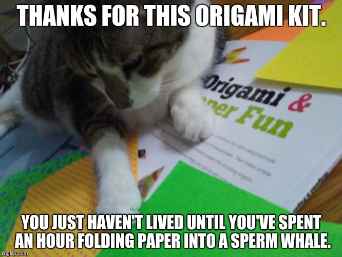 I Fold | THANKS FOR THIS ORIGAMI KIT. YOU JUST HAVEN'T LIVED UNTIL YOU'VE SPENT AN HOUR FOLDING PAPER INTO A SPERM WHALE. | image tagged in origami,funny,cat,sperm whale | made w/ Imgflip meme maker