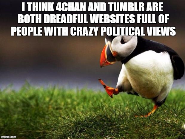 Unpopular Opinion Puffin Meme | I THINK 4CHAN AND TUMBLR ARE BOTH DREADFUL WEBSITES FULL OF PEOPLE WITH CRAZY POLITICAL VIEWS | image tagged in memes,unpopular opinion puffin | made w/ Imgflip meme maker
