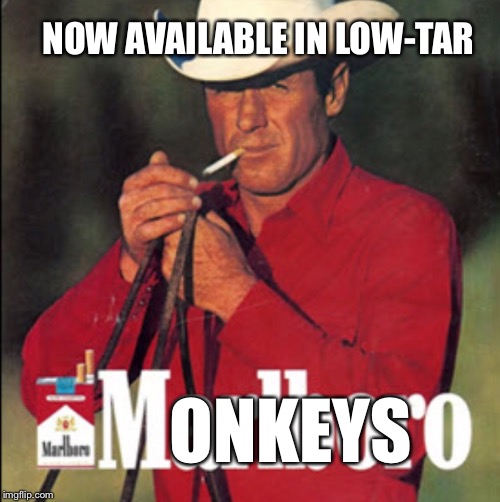 ONKEYS NOW AVAILABLE IN LOW-TAR | made w/ Imgflip meme maker