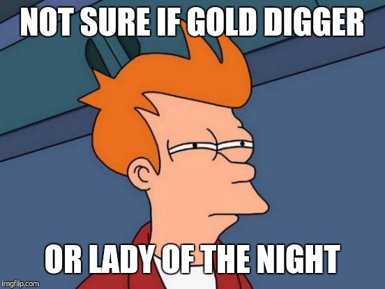Futurama Fry Meme | NOT SURE IF GOLD DIGGER OR LADY OF THE NIGHT | image tagged in memes,futurama fry | made w/ Imgflip meme maker