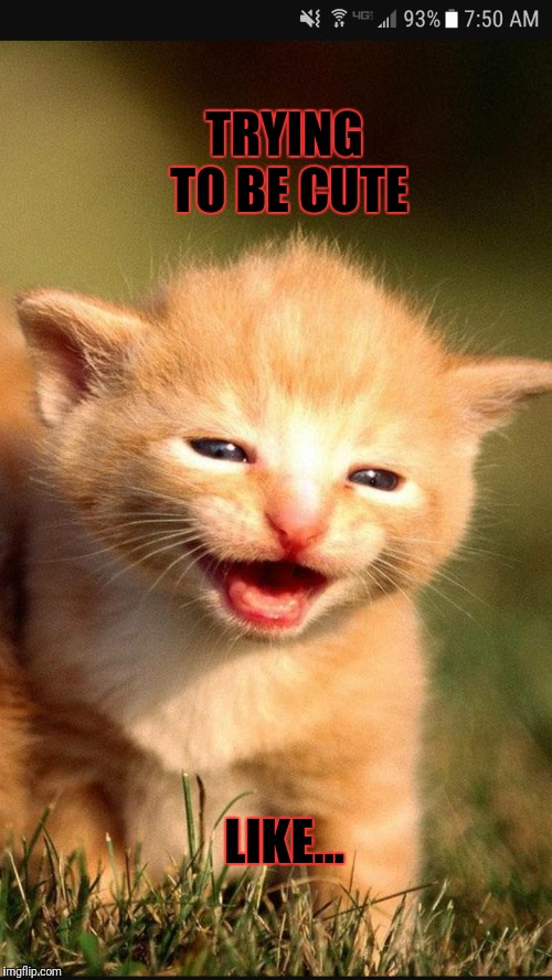 TRYING TO BE CUTE; LIKE... | image tagged in cats,cute kittens | made w/ Imgflip meme maker