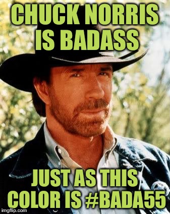 :0 | CHUCK NORRIS IS BADASS; JUST AS THIS COLOR IS #BADA55 | image tagged in memes,chuck norris,badass,colors | made w/ Imgflip meme maker