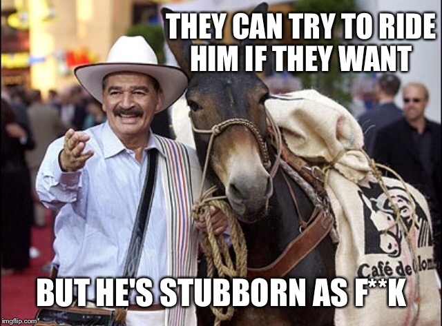 THEY CAN TRY TO RIDE HIM IF THEY WANT BUT HE'S STUBBORN AS F**K | made w/ Imgflip meme maker