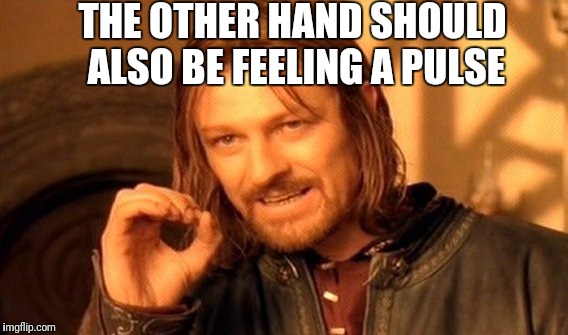 One Does Not Simply Meme | THE OTHER HAND SHOULD ALSO BE FEELING A PULSE | image tagged in memes,one does not simply | made w/ Imgflip meme maker