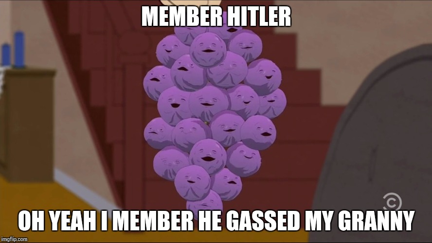 Member Berries Meme | MEMBER HITLER; OH YEAH I MEMBER HE GASSED MY GRANNY | image tagged in memes,member berries | made w/ Imgflip meme maker