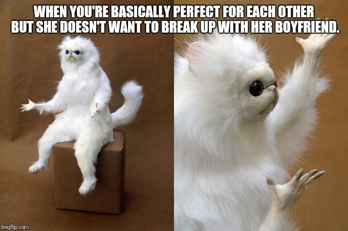 Persian Cat Room Guardian Meme | WHEN YOU'RE BASICALLY PERFECT FOR EACH OTHER BUT SHE DOESN'T WANT TO BREAK UP WITH HER BOYFRIEND. | image tagged in memes,persian cat room guardian | made w/ Imgflip meme maker