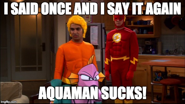 I SAID ONCE AND I SAY IT AGAIN; AQUAMAN SUCKS! | image tagged in big bang theory,big bang | made w/ Imgflip meme maker