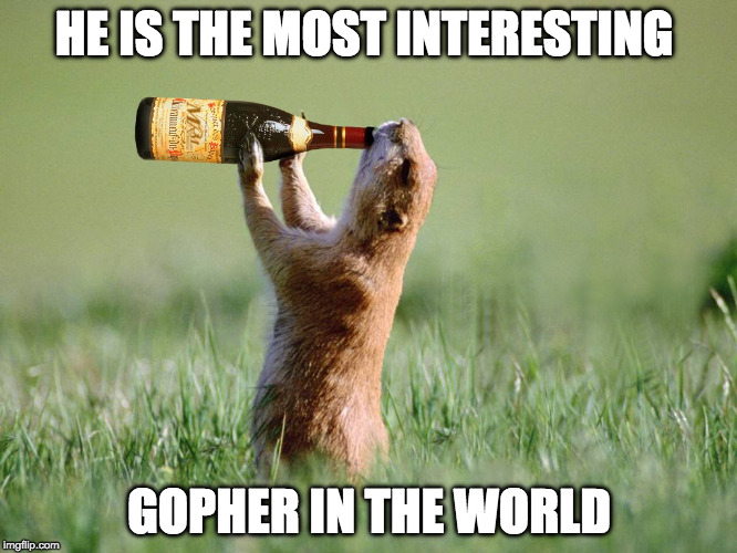 HE IS THE MOST INTERESTING; GOPHER IN THE WORLD | image tagged in the most interesting man in the world,alcohol,memes,funny memes,dank memes | made w/ Imgflip meme maker