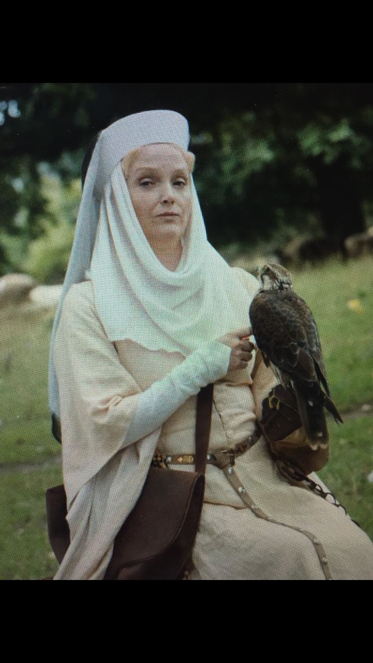 Sassy Falcon Lady Blank Meme Template