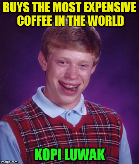 Bad Luck Brian Meme | BUYS THE MOST EXPENSIVE COFFEE IN THE WORLD KOPI LUWAK | image tagged in memes,bad luck brian | made w/ Imgflip meme maker