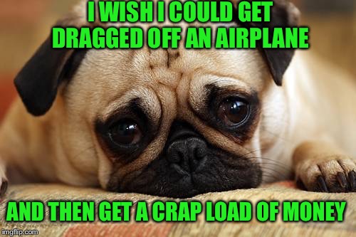 I WISH I COULD GET DRAGGED OFF AN AIRPLANE AND THEN GET A CRAP LOAD OF MONEY | made w/ Imgflip meme maker