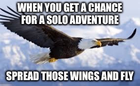 Soaring eagle | WHEN YOU GET A CHANCE FOR A SOLO ADVENTURE; SPREAD THOSE WINGS AND FLY | image tagged in soaring eagle | made w/ Imgflip meme maker