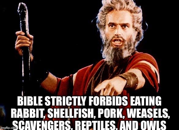 Angry Old Moses | BIBLE STRICTLY FORBIDS EATING RABBIT, SHELLFISH, PORK, WEASELS, SCAVENGERS, REPTILES, AND OWLS | image tagged in angry old moses | made w/ Imgflip meme maker