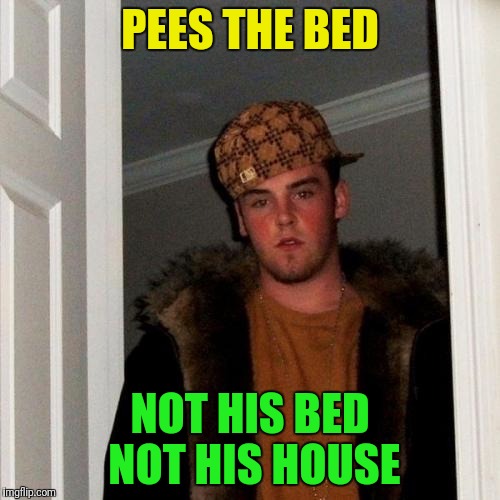 Scumbag Steve Meme | PEES THE BED; NOT HIS BED NOT HIS HOUSE | image tagged in memes,scumbag steve | made w/ Imgflip meme maker