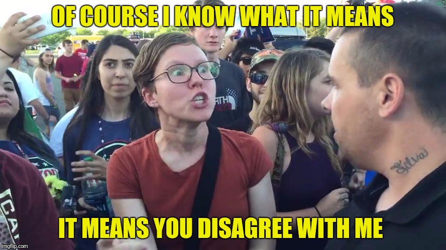 OF COURSE I KNOW WHAT IT MEANS IT MEANS YOU DISAGREE WITH ME | made w/ Imgflip meme maker