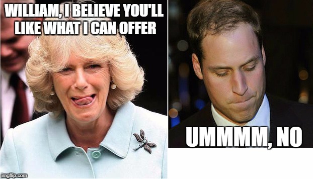 WILLIAM, I BELIEVE YOU'LL LIKE WHAT I CAN OFFER; UMMMM, NO | image tagged in british royals | made w/ Imgflip meme maker